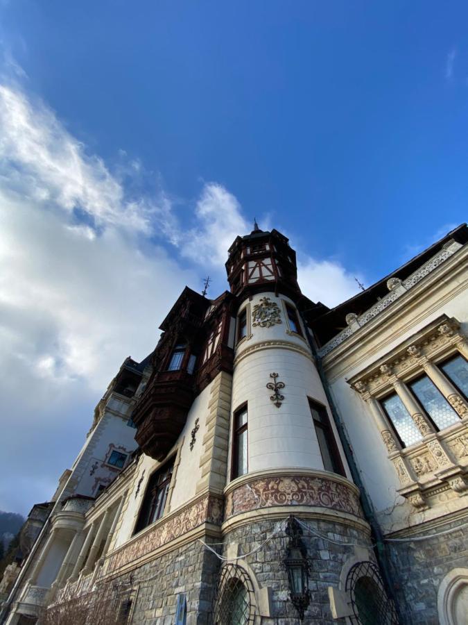 Vila De Argint Aleea Pelesului Nr 2 Sinaia Exterior photo