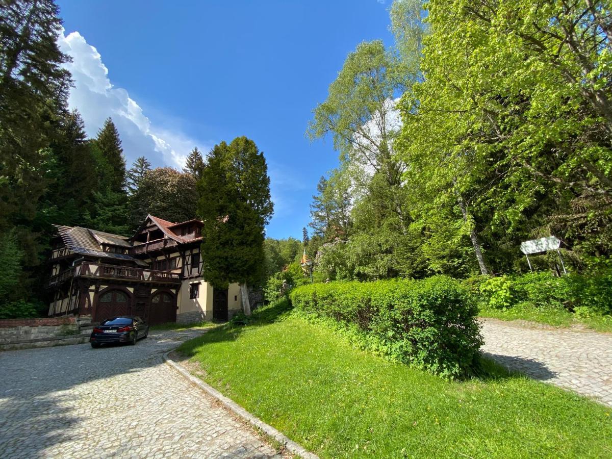 Vila De Argint Aleea Pelesului Nr 2 Sinaia Exterior photo