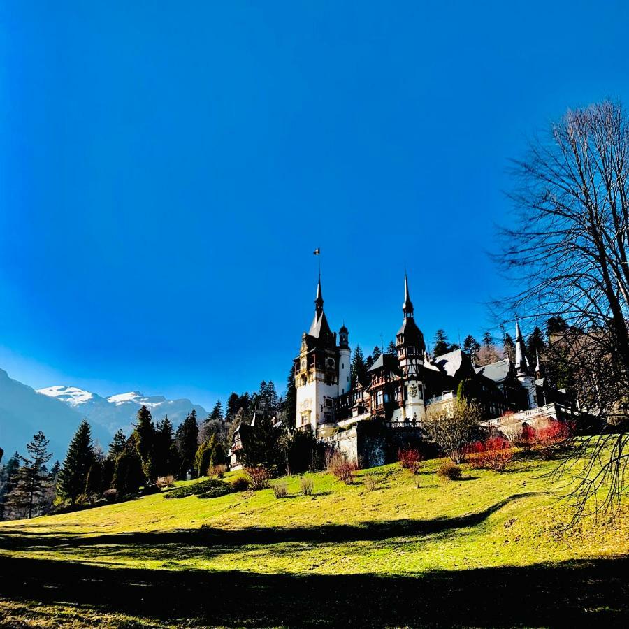 Vila De Argint Aleea Pelesului Nr 2 Sinaia Exterior photo