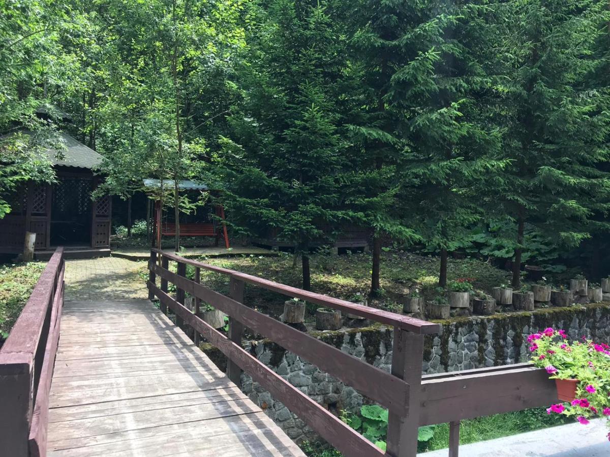 Vila De Argint Aleea Pelesului Nr 2 Sinaia Exterior photo